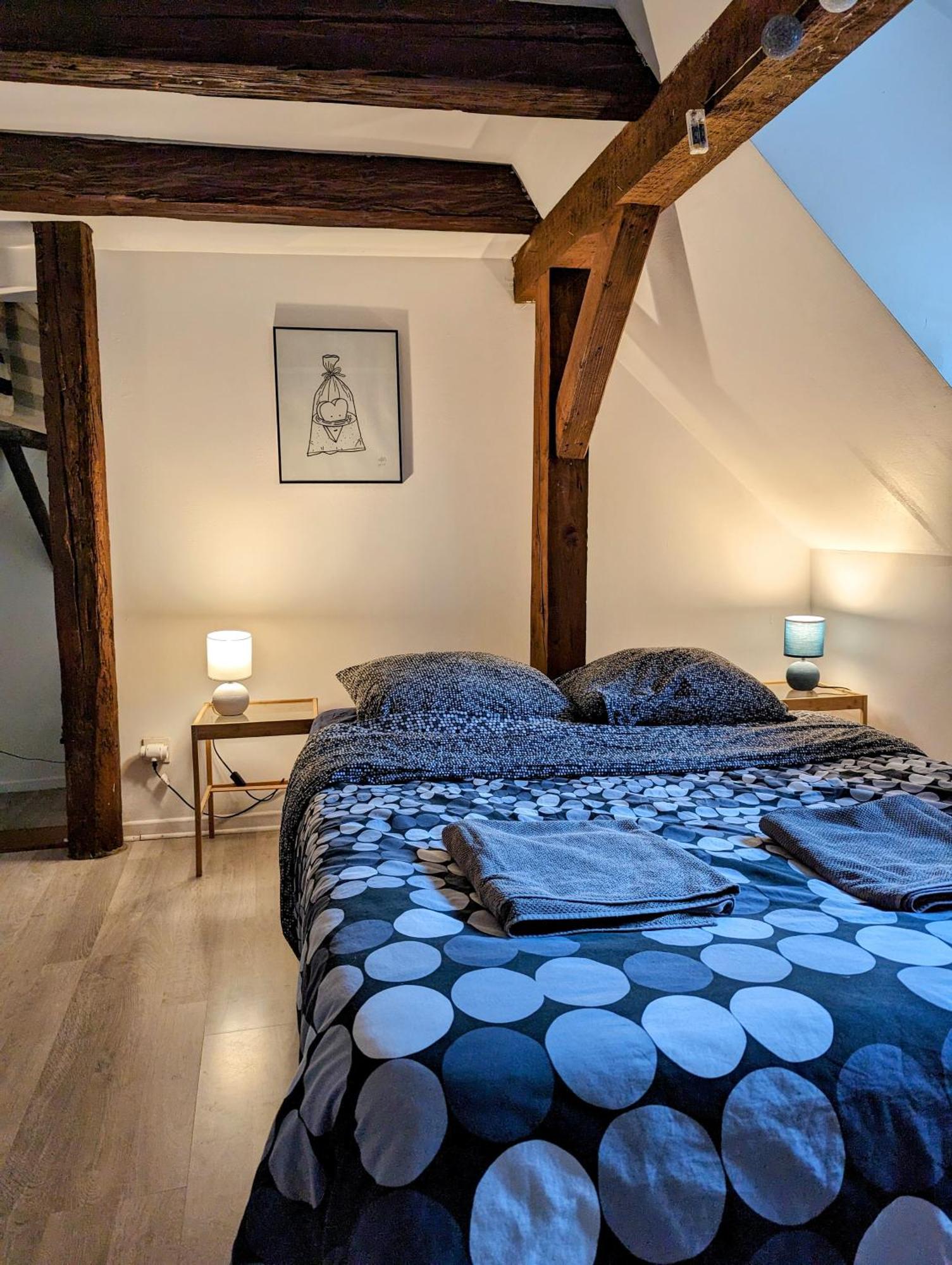 Triplex Place De La Cathedrale Страсбург Екстериор снимка